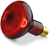 Urządzenia medyczne - Beurer Żarówka 100W (IL 11) Żarówka 100W (IL 11) Żarówka 100W (IL 11) Żarówka 100W (IL 11) 61451 - miniaturka - grafika 1