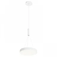 Lampy sufitowe - Redlux Lampa wisząca LARISA R 30 R12846 - miniaturka - grafika 1