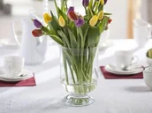 Świeczniki - Altom WIATROŚWIECZNIK H-24CM (05-090/24) 5908214615322 - miniaturka - grafika 1