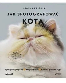 Jak fotografować kota - Rozwój osobisty - miniaturka - grafika 2