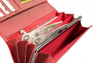 PolskaGalanteria.pl Portfel Damski PolskaGalanteria Długi Max z Klamrą Skóra Naturalna KP D18 Wzór II - Portfele - miniaturka - grafika 5