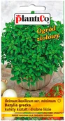 Nasiona i cebule - Plantico Bazylia grecka mini OZI - miniaturka - grafika 1