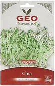 Nasiona na kiełki - Geo zch0103 zarazków hiszpańska nasiona, brązowy - miniaturka - grafika 1