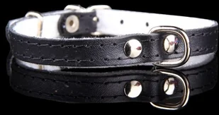 dr Seidla ZOO LESZCZ (PL) Soldina Dla Psa Skóra Naturalna 8 mm / 28 cm ZL0150 ZOO LESZCZ (PL) - Smycze dla psów - miniaturka - grafika 6