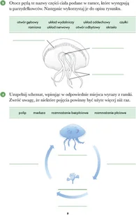 Wydawnictwo MAC Biologia. Zeszyt ćwiczeń klasa 6 881344 - Podręczniki dla szkół podstawowych - miniaturka - grafika 8