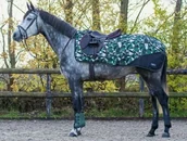 Derki dla konia - Derka treningowa podszyta polarem 600D AW21 - QHP - twist 6163 - miniaturka - grafika 1