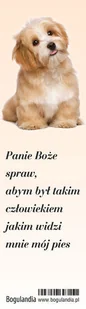 Bogulandia Zakładka do książki - Panie Boże spraw - Powieści - miniaturka - grafika 3