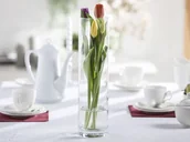 Wazony i flakony - Altom WAZON CYLINDER ŚR.10CM H-40CM (05-410/40) 5908214603220 - miniaturka - grafika 1