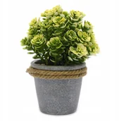 Sztuczne kwiaty - Sztuczne Kwiaty W Doniczce 19cm różne kolory - miniaturka - grafika 1