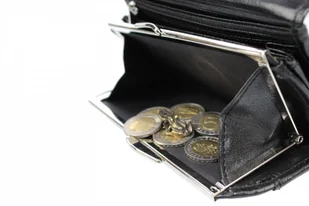 CRIS-POL (PL) Klasyczny Portfel Damski Skórzany CRIS-POL(PL) Skóra Licowa 16,5 cm Klamra Wewnątrz Wygodny - Portfele - miniaturka - grafika 5