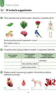 Wydawnictwo MAC Biologia. Zeszyt ćwiczeń klasa 5 880798 - Podręczniki dla szkół podstawowych Wydawnictwo MAC Biologia. Zeszyt ćwiczeń klasa 5 880798 - Podręczniki dla szkół podstawowych - miniaturka - grafika 3