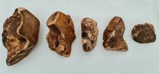 4DoGSORIGINAL Gryzak z korzenia wrzośca 4DOGS S pies do 5kg) - Przysmaki dla psów - miniaturka - grafika 3