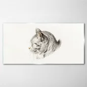 Obrazy i zdjęcia - PL Coloray Obraz Szklany Rysunek Zwierzę Kot 120x60cm - miniaturka - grafika 1
