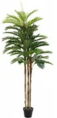 Sztuczne drzewka - Europalms EUROPALMS Kentia palma, sztuczna roślina, 180 cm 82511367 - miniaturka - grafika 1