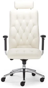 Fotel biurowy, krzesło biurowe Nowy Styl Fotel Chester HRU R 3537 - Fotele i krzesła biurowe Fotel biurowy, krzesło biurowe Nowy Styl Fotel Chester HRU R 3537 - Fotele i krzesła biurowe - miniaturka - grafika 1