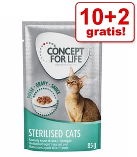 Concept for Life Concept for Life Maine Coon Adult, ragout - 12 x 85 g - Mokra karma dla kotów Concept for Life Concept for Life Maine Coon Adult, ragout - 12 x 85 g - Mokra karma dla kotów - miniaturka - grafika 1