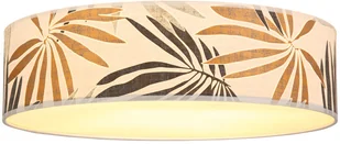 Spotlight Lampa sufitowa 4875802 z serii HOJA ŻARÓWKI - Lampy sufitowe - miniaturka - grafika 2