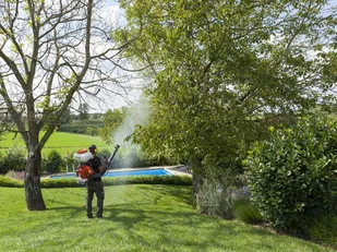 OLEO-MAC ITALIA MB 800 OPRYSKIWACZ SPALINOWY PLECAKOWY TURBINOWY 14L MOC 5 KM PREMIUM 365280020E2C - Opryskiwacze - miniaturka - grafika 5