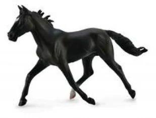Collecta Koń rasy klusak amerykański maści czarnej XL - Figurki dla dzieci - miniaturka - grafika 2