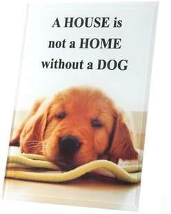 EUROFIRANY B.B. CHOCZYŃSCY SPÓŁKA JAWNA Ramka Zdjęcia C. PRINT, MÓWISZ I MASZ, biały, czarny, 12x18 cm - Ramki na zdjęcia EUROFIRANY B.B. CHOCZYŃSCY SPÓŁKA JAWNA Ramka Zdjęcia C. PRINT, MÓWISZ I MASZ, biały, czarny, 12x18 cm - Ramki na zdjęcia - miniaturka - grafika 1