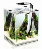 Akwaria i zestawy akwarystyczne - Aquael Akwarium Shrimp 10 20x20x25 cm - miniaturka - grafika 1
