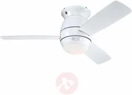 Wentylatory sufitowe - Westinghouse Halley wentylator, łopatki, klon - miniaturka - grafika 1