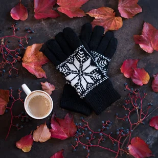 Art of Polo Rękawiczki męskie Malmo - Rękawiczki - miniaturka - grafika 2