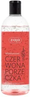 Kosmetyki do kąpieli - Ziaja Vegan żel pod prysznic Czerwona Porzeczka 500ml 96926-uniw - miniaturka - grafika 1