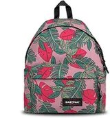 Plecaki - EASTPAK Eastpak Plecaki na co dzień, Brize Tropical - miniaturka - grafika 1
