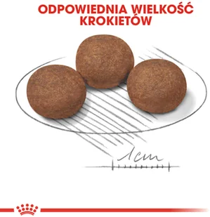 Royal Canin Medium Puppy 4 kg - Sucha karma dla psów - miniaturka - grafika 3