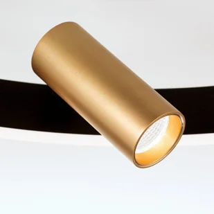 Orion Lampa sufitowa LED Berlin z 3 reflektorami - Lampy sufitowe - miniaturka - grafika 2