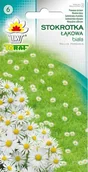 Nasiona i cebule - Toraf Stokrotka łąkowa biała 0,2g Nas000484 - miniaturka - grafika 1