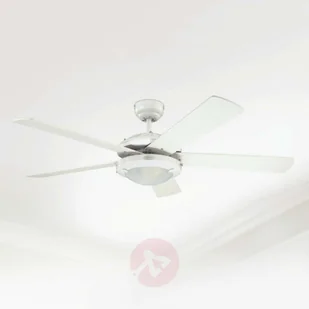 Westinghouse Comet 2 (7259840) - Wentylatory sufitowe - miniaturka - grafika 4