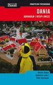 Przewodniki - Pascal Dania Praktyczny przewodnik Pascal - miniaturka - grafika 1
