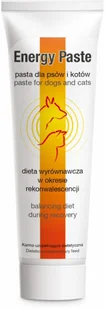 Dolfos Pasta Energy dla psów i kotów 100g - Pozostałe akcesoria dla psów - miniaturka - grafika 2