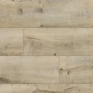 Dąb Trydent 56613 Harmony Forte - Panele podłogowe - miniaturka - grafika 2