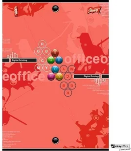 St. Majewski Zeszyt na spirali A5/80K kratka MIX 10szt) - Zeszyty szkolne - miniaturka - grafika 3