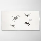 Obrazy i zdjęcia - PL Coloray Obraz na Szkle Owady Robaki 100x50cm - miniaturka - grafika 1