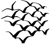 Wieszaki i stojaki - DECOlicious.pl Wieszak na ścianę PTAKI DECO78 - miniaturka - grafika 1