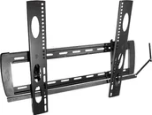 Uchwyty do telewizora - myWall My Wall HP14  2L uchwyt ścienny do telewizorów, 81  140 cm (32  55 cali), VESA, maks. 30kg, możliwość pochylenia, czarna 4012386131809 - miniaturka - grafika 1