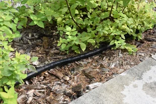 FLO WĄŻ KROPLUJĄCY PŁASKI 7,5M 89370 ZYSKAJ RABAT 30 ZŁ 89370 - Węże ogrodowe i zraszacze - miniaturka - grafika 5