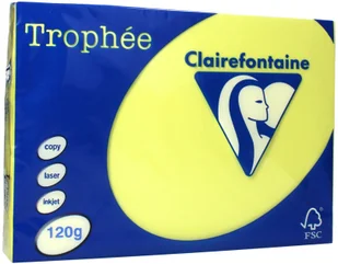 Clairefontaine papier 1207 °C A4 GB ve250 1207C - Papier do drukarek - miniaturka - grafika 2