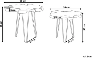 Beliani Zestaw 2 stolików pomocniczych ciemne drewno z czarnym CAMROSE - Ławy i stoliki kawowe - miniaturka - grafika 3