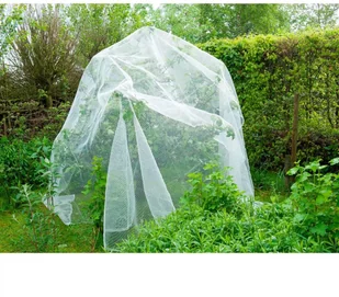 Nature Nature Siatka przeciw owocówce jabłkóweczce 6030450 6030450 - Pozostałe elektronarzędzia - miniaturka - grafika 6