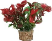 Dekoracje do akwarium - Zolux Roślina mała z zestawu nr 2 - miniaturka - grafika 1