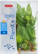 Dekoracje do akwarium - Zolux PLANTKIT IDRO N 2 352151 - miniaturka - grafika 1