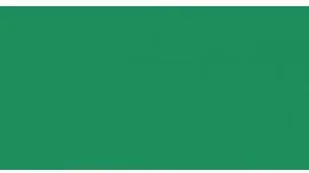 Canson 200040209 Iris Vivaldi gładki, papier, A3, zieleń mchu 30 200040209 - Pudła i kartony archiwizacyjne - miniaturka - grafika 2