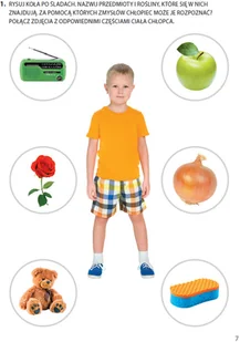 Wydawnictwo MAC Zdobywam świat. Karty pracy część 1 - jesień. Poziom 4 882092 - Podręczniki dla szkół podstawowych - miniaturka - grafika 7