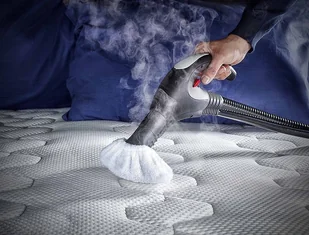 Polti PVEU0085 FAV80 odkurzacz parowy, zabija i usuwa 99,99% wirusów, zarazków i bakterii, aluminium, zielony - Odkurzacze przemysłowe - miniaturka - grafika 10