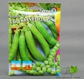 Nasiona i cebule - Lobelia Groch Siewny Łuskany CUD KELVEDONU 50g Nas000156 - miniaturka - grafika 1